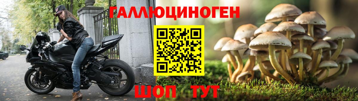Галлюциногенные грибы Magic Shrooms  Вход с VPN  Великий Устюг 